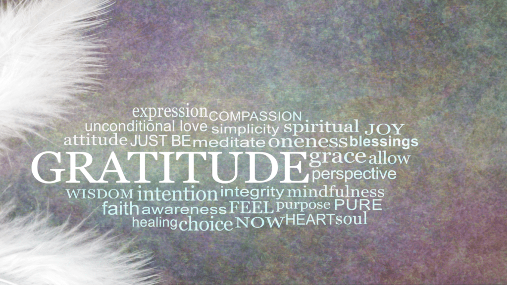 gratitude, gratitude journal, practice gratitude, practicing gratitude, volunteer, helping others